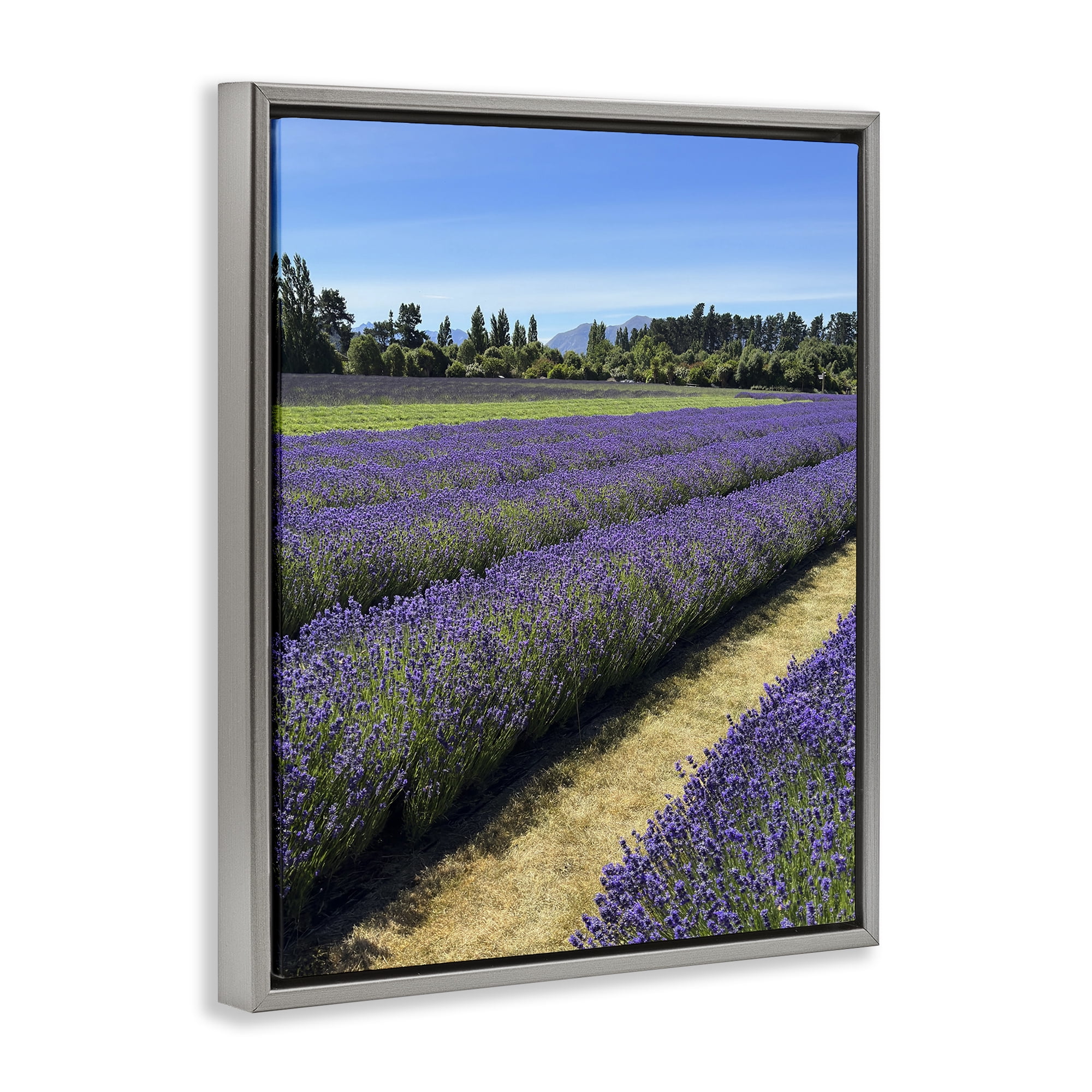 Stupell Industries Lavender Path Landscape Landscape Photography Gray Floater Framed Art Print Wall Art, 25 x 31