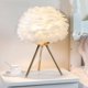 thumbnail image 1 of Lámpara de mesa de plumas para dormitorio de niña, lámpara de noche creativa, sencilla y moderna, luz de noche para habitación de boda, lámpara decorativa cálida, 1 of 5