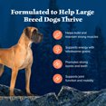 thumbnail image 5 of Blue Buffalo Wilderness Large Breed Dry Dog Food Plus Wholesome Grains, Chicken, 24 lbs., 5 of 12