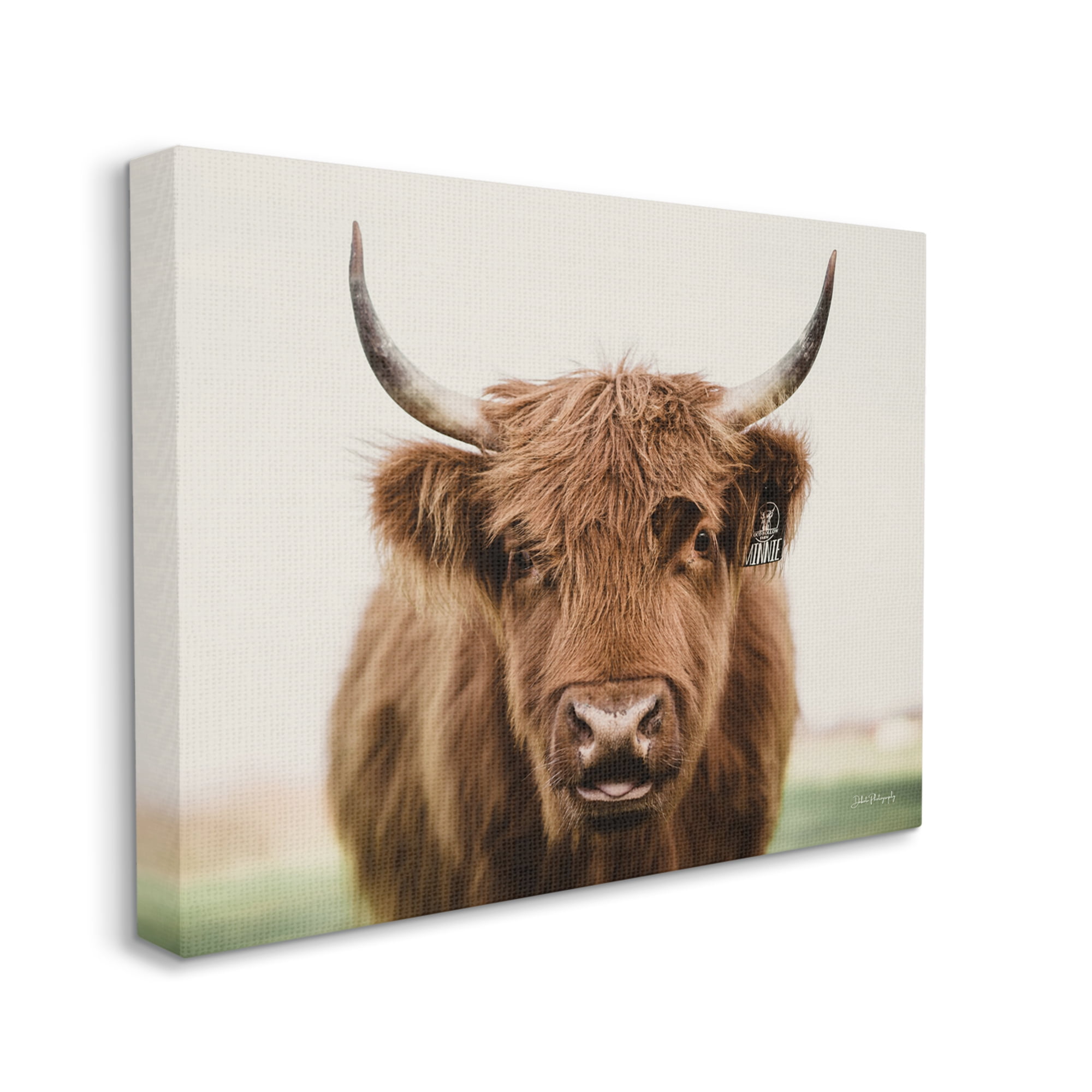 Stupell Industries Farmhouse Cattle Photography Animals & Insects Photography Gallery Wrapped Canvas Print Wall Art, 40 x 30