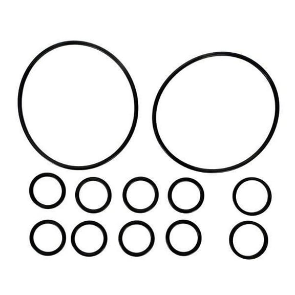 Zodiac R0552400 O-Ring Replacement Kit for Select Zodiac Never Lube Backwash Valve