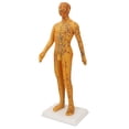 thumbnail image 2 of Chinese Medicine Acupuncture Model,53cm Human Body Acupuncture Acupuncture Model Man Acupuncture Model Ultimate Reliability, 2 of 14
