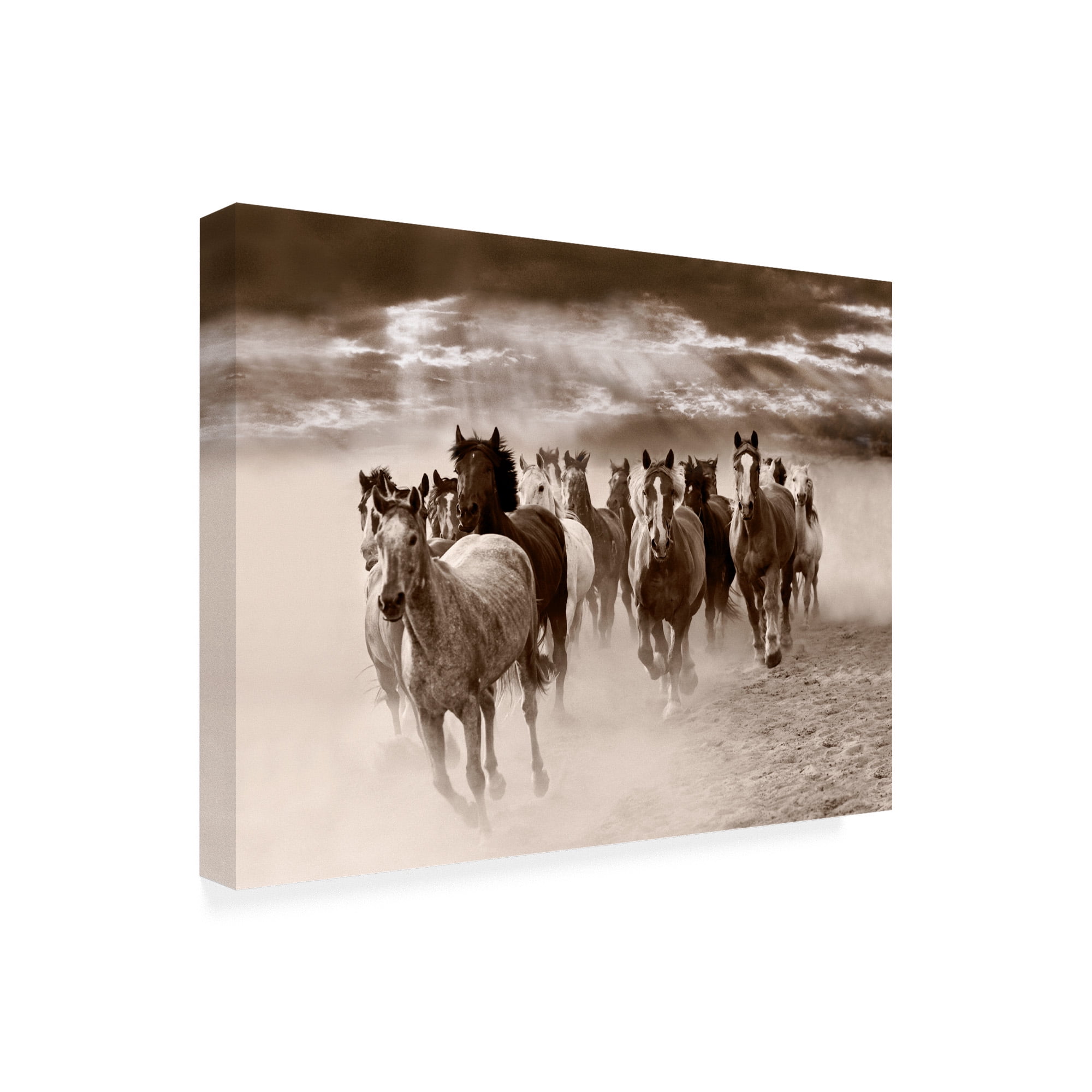 Trademark Fine Art 'Dust And Thunder Rothbury Michigan' Canvas Art by Monte Nagler