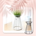thumbnail image 4 of Soporte de mesa de la planta de aire Soporte decorativo Pote de vegetal Organizador Estante estante Tabletop Art Craft Decoration Negro seitruly HA011514-01, 4 of 7
