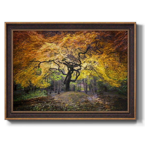 Hidden Jewel Premium Framed Canvas- Ready to Hang