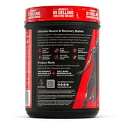 Six Star Pro Nutrition Creatine X3 BCAA Amino Acid Blend Powder, Fruit Punch, 2.18 lbs, 30 Servings