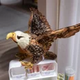 thumbnail image 2 of Eagle Stuffed Animal Realistic Eagle Plush Toy Children's Birthday Easter Stuffed Bird Zoo Gift-12In, 2 of 7