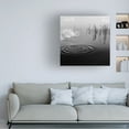 thumbnail image 3 of Canvas Wall Art - Poul-Erik Riis 'What Happened?' Wall Art for Living Room, Bedroom, or Office Décor by Trademark Fine Art - 18 x 18 Inches, 3 of 4