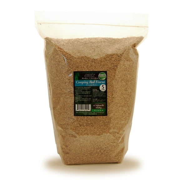 Creeping Red Fescue Seed by Eretz 5lb - CHOOSE SIZE! Willamette Valley Oregon Grown, No Fillers, No Weed or Other Crop Seeds, Premium Shade Grass Seed.