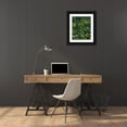 thumbnail image 3 of Fuchs, Jodi 26x32 Black Ornate Wood Framed with Double Matting Museum Art Print Titled - Green Thicket I, 3 of 4