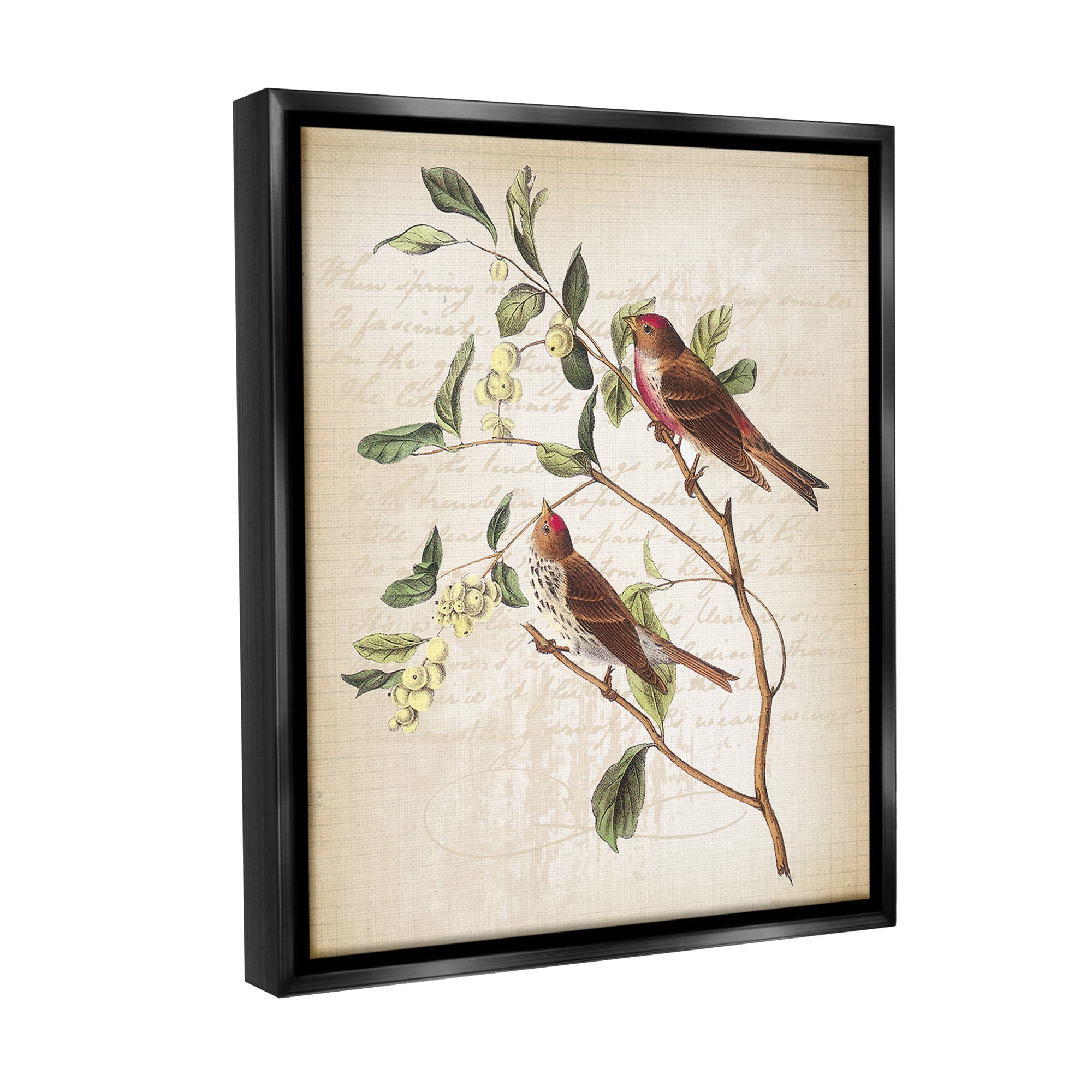 Stupell Industries Birds with Vintage Cursive Animals & Insects Painting Black Floater Framed Canvas Art Print Wall Art, 25 x 31