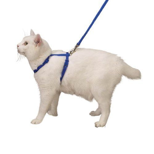 Nylon Adjustable Cat Harness Style and Safety In Blue For Walking or
