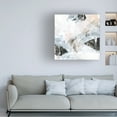 thumbnail image 3 of June Erica Vess 'Veiled Formation II' Canvas Art, 3 of 3