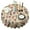 Brown Mushroom Label-1, variant on Brown Mushroom Label Light Pattern Round Tablecloth 60"x60",Wrinkle Wipeable Table Cloth for Kitchen Dining Room Picnic Patio Party