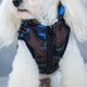thumbnail image 3 of Ropa Impermeable Para Perros, Chaqueta De Invierno Para Mascotas Con Arnés, Chaleco Cálido A Prueba De Viento Para Perros Pequeños, Abrigo Para Cachorros, Ropa Para Mascotas Yuarrent PT002758-05, 3 of 6