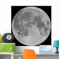 thumbnail image 1 of Photo Moon Lunar Surface Wall Mural by Wallmonkeys Peel and Stick Graphic (36 in H x 36 in W) WM5357, 1 of 4