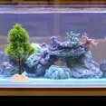 thumbnail image 4 of VERDANVERSE 1Ud Paisajística De Acuario Con Árbol Y Acuáticas Artificiales, 4 of 6