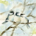 thumbnail image 3 of Pete, Katrina 20x20 Black Modern Framed Museum Art Print Titled - Three Chickadees in Spring Sq, 3 of 5
