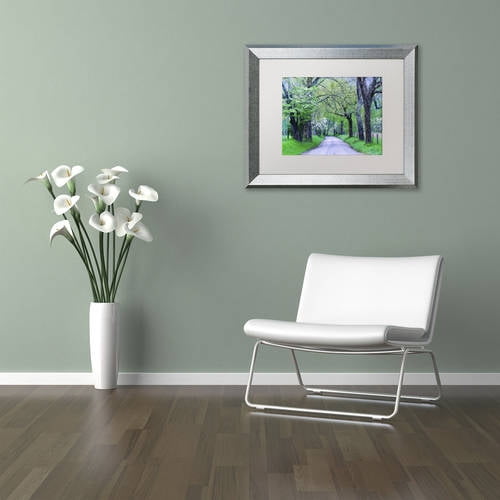 Trademark Fine Art "Cades Cove Lane" Canvas Art by Michael Blanchette Photography White Matte, Silver Frame