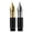 Golden Silver, variant on 2PCS Majohn Flex Fountain Pen Nib Flexible Replacement Nib, Suitable for P136, P138 and P139 (#6 Nib) Series, Golden Silver