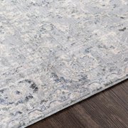 Hauteloom Dingwall Living Room, Bedroom Area Rug - Traditional - Gray, Medium Gray, Blue - 2' x 3'3