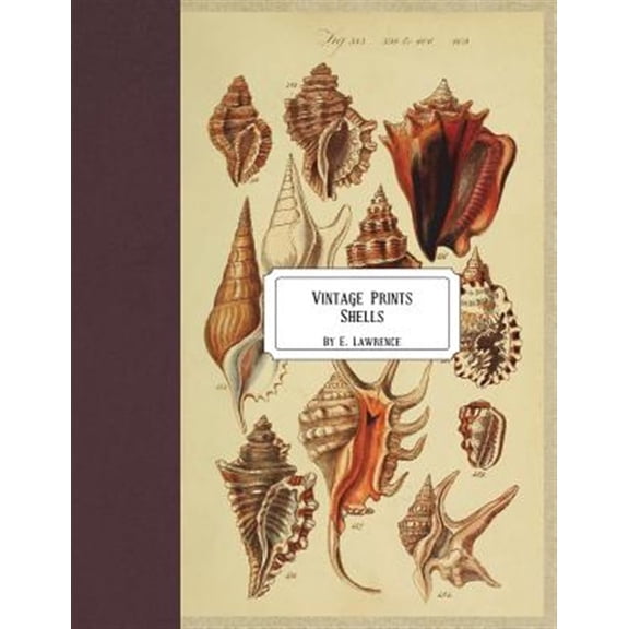 Pre-Owned Vintage Prints: Shells (Paperback) by E Lawrence