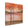 thumbnail image 2 of Mountain Meadow I' Canvas Art by Chris Paschke, 2 of 3