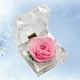 thumbnail image 4 of BRIGHTFUFU 1 pieza de flor preservada, rosa de la eternidad, rosa nunca marchita, regalo para el cumpleaños y aniversario del día de San Valentín con caja de regalo con cajón (rosa), 4 of 7