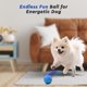 thumbnail image 2 of Pelota de juguete interactiva para perros Kytujoy, pequeña pelota inteligente para saltar, 2 of 7