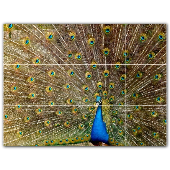 Picture-Tiles.com: Bird Ceramic Tile Wall Mural WAL500197-43M. 24"W x 18"H using (12) 6" x 6" Ceramic Tiles-Satin Finish