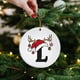 thumbnail image 4 of Adorno con nombre y letra, adorno con inicial familiar, adorno personalizado, adorno navideño con nombre familiar, regalo de Navidad, 4 of 6