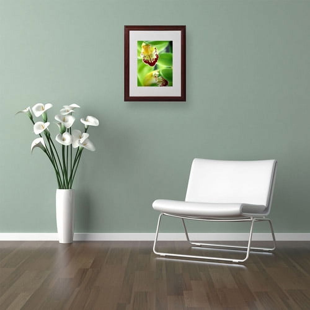 Trademark Fine Art "Cymbidium Seafoam Emerald Orchid" by Kathy Yates, Wood Frame