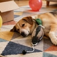 thumbnail image 6 of Duck Dog Training Toy - Realistic Duck - Shaped Interactive Pet Plaything with Rope & Ball, Durable Nylon Material for Fetch, Chew & Play - for Puppies, Small to Medium Dogs, Indoor & Outdoor Trainin, 6 of 6