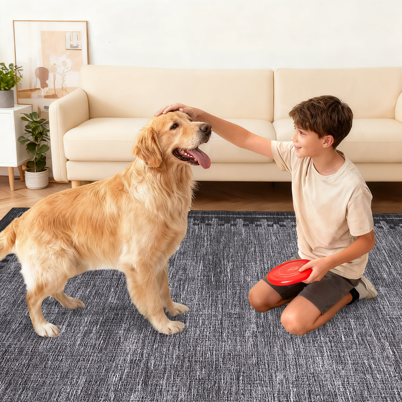 COZONY 5'x7' Modern Bordered Area Rug, Soft Non-Shedding Washable Low Pile Carpet for Living Room, Black Gray