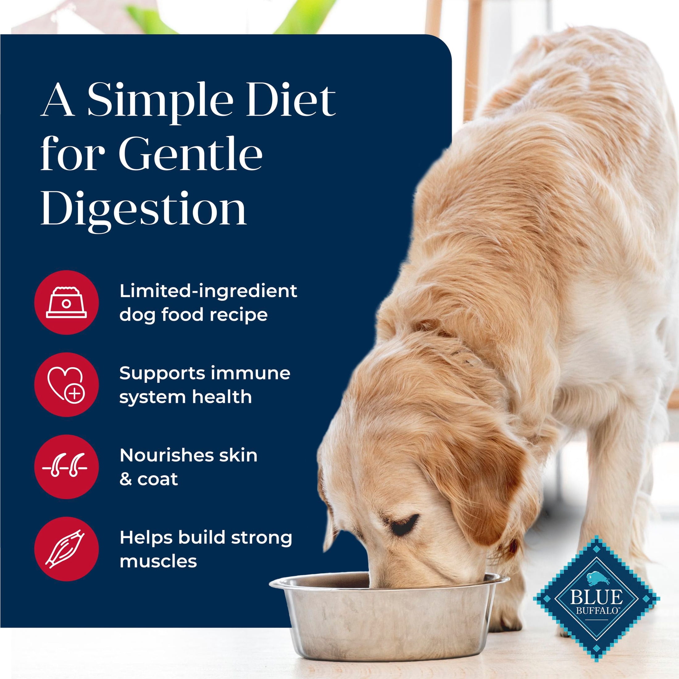 Blue Buffalo Basics Grain Free Adult Dry Dog Food, Salmon, Chicken Free, 4lbs