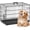 Black-Single 24", variant on Alpinel | Dog Crate | 24" | Pink | Foldable Metal Kennel with Double Doors | Secure Slide-Bolt Latches, Leakproof Tray | Portable Dog Cage for Small Breeds | for Travel, Indoor & Outdoor Use