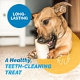thumbnail image 5 of Stuffed Shin Bone with Peanut Butter flavor dog bone treat chews 3-4" -  (10 Count), 5 of 9