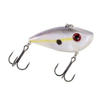 Strike King Red Eyed Shad, Bleeding Fire Tiger