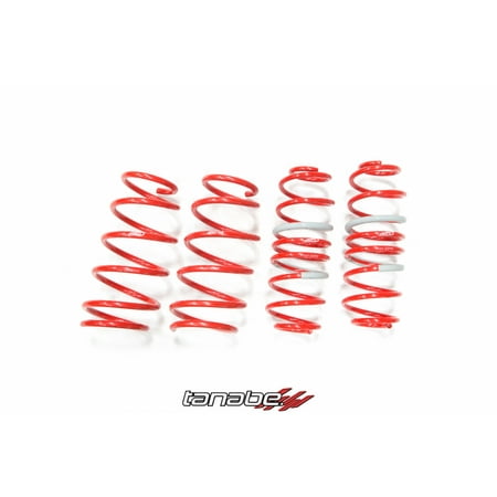 Tanabe DF210 Lowering Springs for 11-13 Mazda 2 -