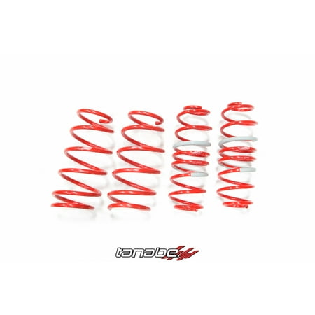 Tanabe Df210 Lowering Springs - Tanabe DF210 Lowering Springs for 11-13 Mazda 2 - TDF159