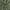 Moss Green, variant on Sun Zero Evelina Faux Dupioni Silk Thermal Extreme 100% Blackout Back Tab Curtain Panel,50" X 84, Navy Blue