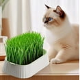 thumbnail image 5 of Grass Planter Tray, Double Layer Wheatgrass Grower with Soilless Container, Cat Grass Growing Kit for Indoor Gardening, Hydroponic Planter Pot with Drain Holes and Detachable Tray, 5 of 7