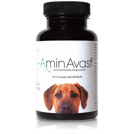 UPC: 0700729041635 | AminAvast Healthy Kidney Function for Cats and Dogs 60 Capsules 1000mg