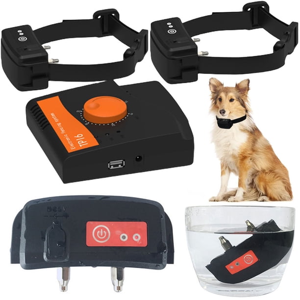 Collar Entrenamiento Electrónico Con Cable Delimitador Sobre El Suministros Útiles para