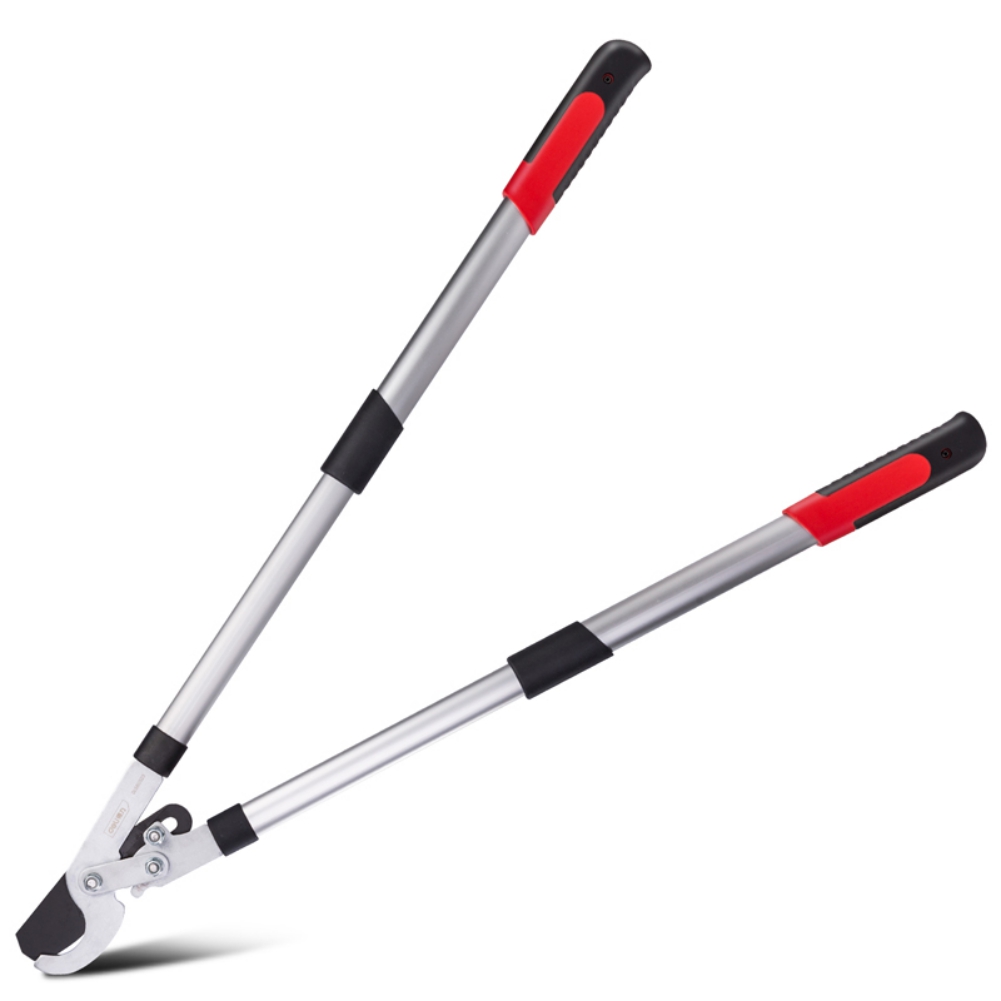 Extendable Handle Lopper, Hedge Shears for Trimming Borders, Boxwood