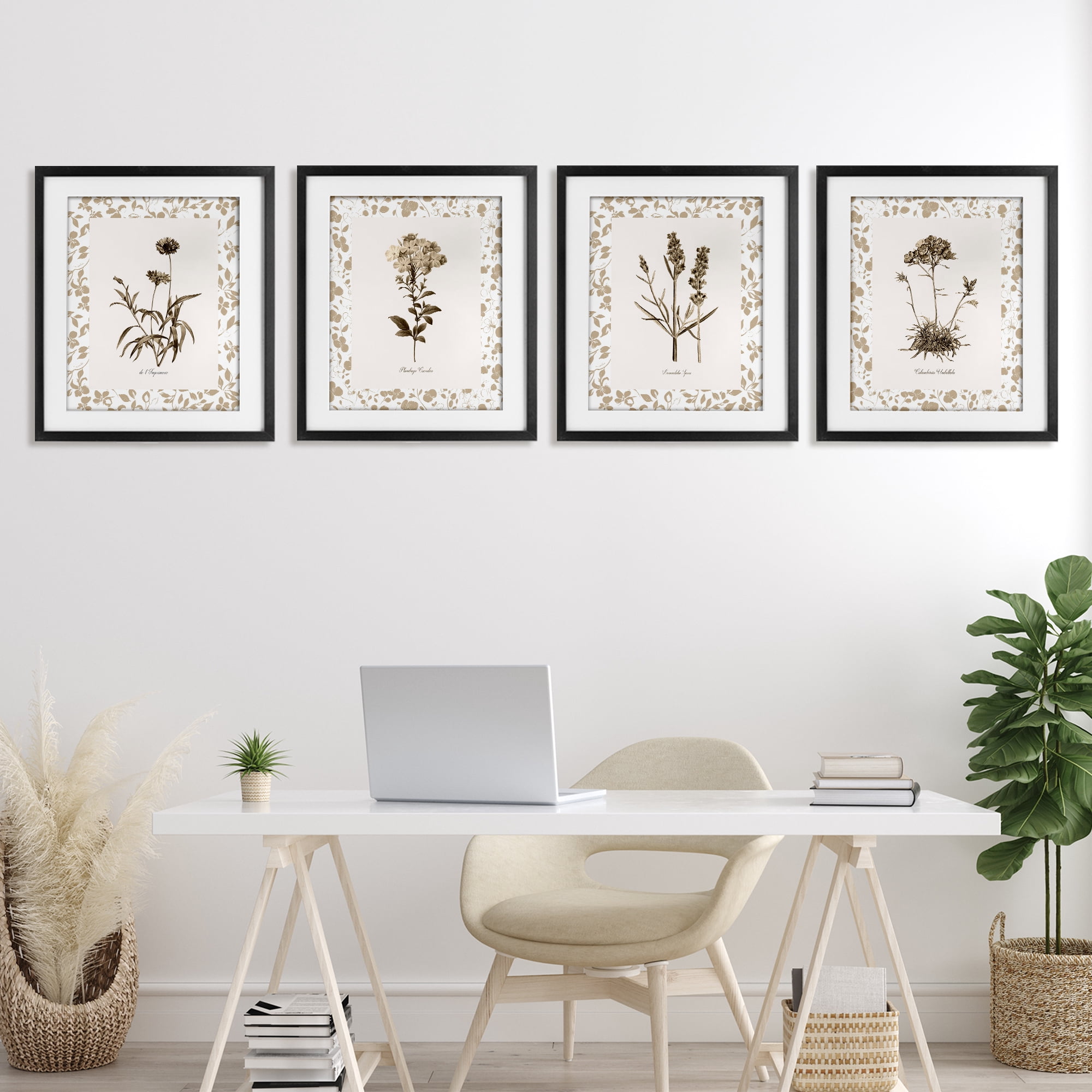 Stupell Industries Neutral Imperial Flower Studies 4 Piece Black Framed Print Under Glass Set, design by Kelly Donovan