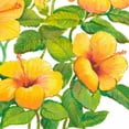thumbnail image 2 of OToole, Tim 12x12 White Modern Wood Framed Museum Art Print Titled - Watercolor Hibiscus IV, 2 of 4