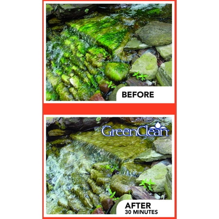 GreenClean Granular Algaecide for Ponds - 2.5 lbs.