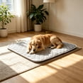 View all media