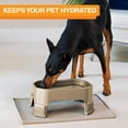 thumbnail image 5 of Neater Pets Giant Bowl with Leg Extensions for Dogs - Raised for Feeding Comfort - Extra Large Plastic Trough Style Food or Water Bowl for Use Indoors or Outdoors, Champagne, 2.25 Gallon (288 Oz.), 5 of 12